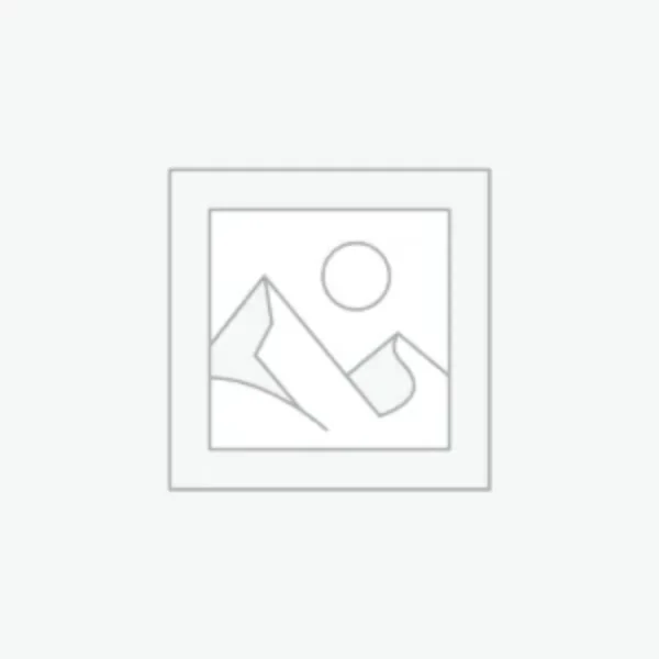 Water Meter BR 3 inch
